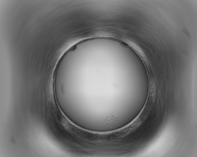 X0000111191439200907081247