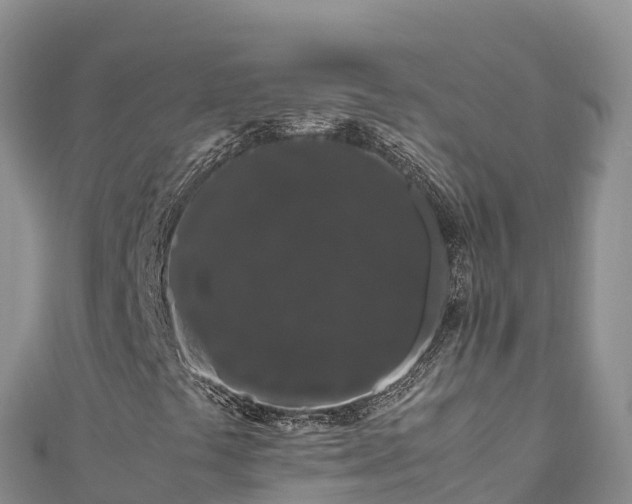 X0000111191441200907081246