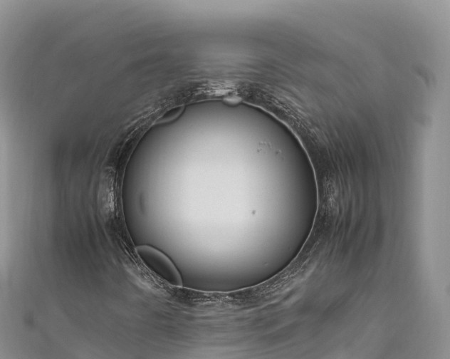 X0000111191442200907081246