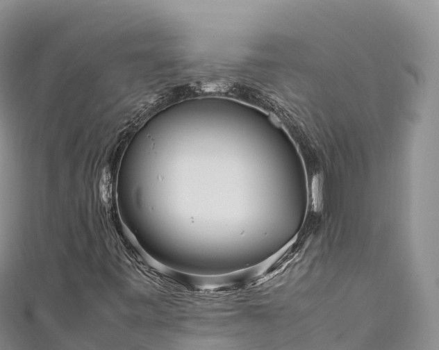 X0000111191443200907081246