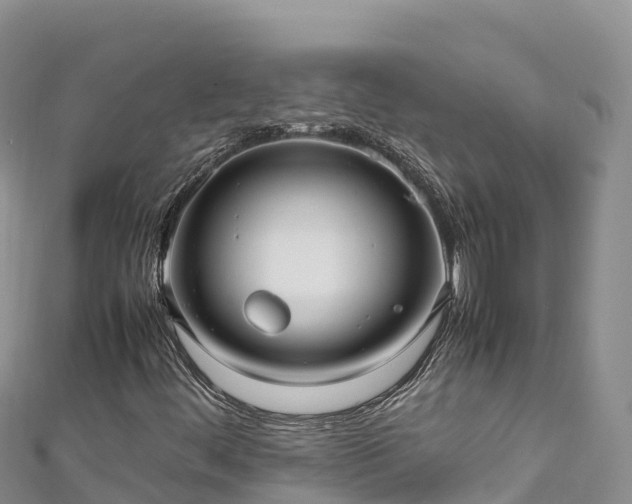 X0000111191444200907081246