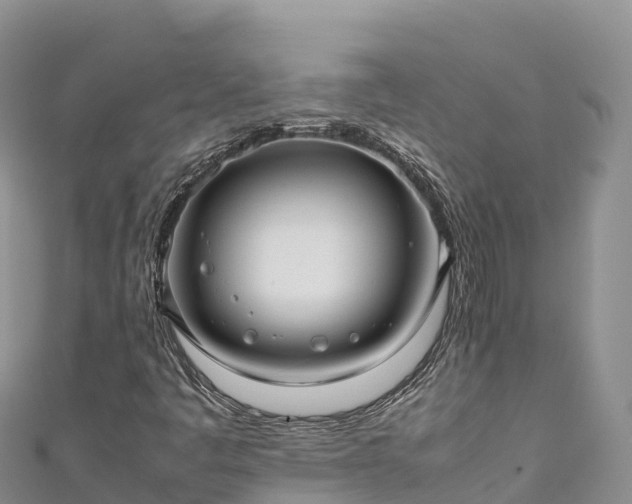 X0000111191445200907081246