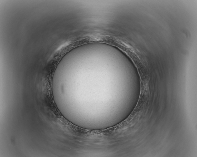 X0000111191446200907081246