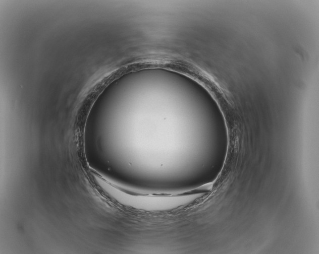 X0000111191448200907081246