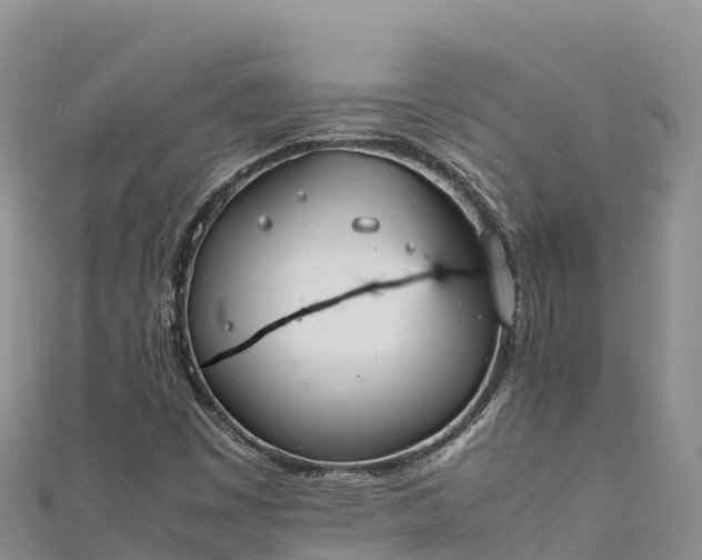 X0000111191449200907081246