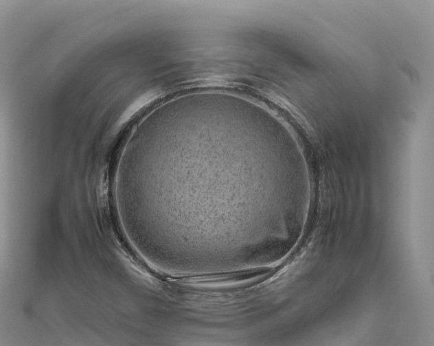 X0000111191450200907081246