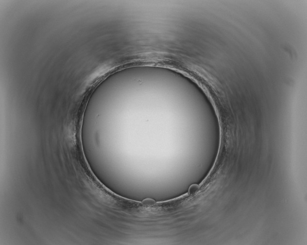 X0000111191451200907081246