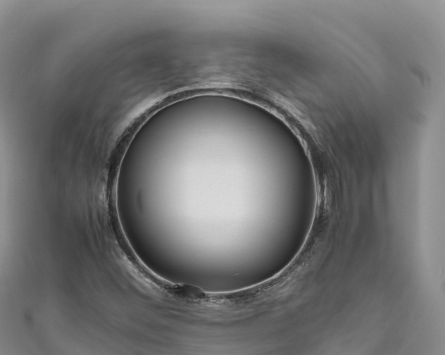 X0000111191452200907081246