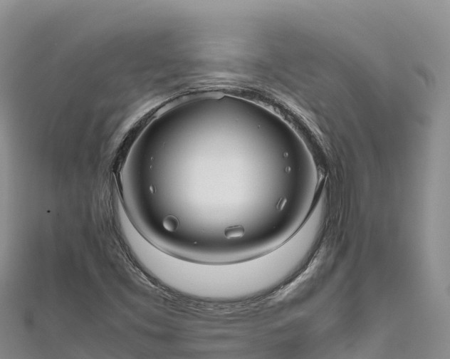 X0000111191453200907081246