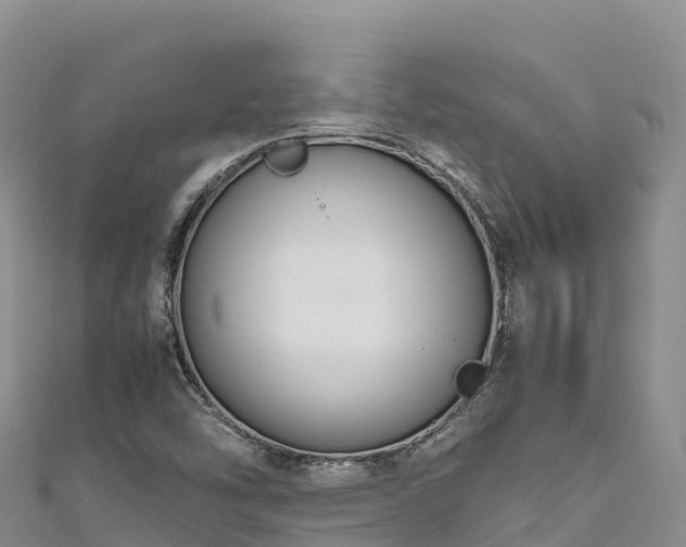 X0000111191454200907081246