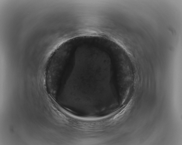 X0000111191455200907081246