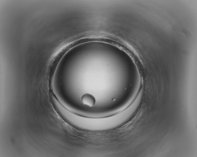 X0000111191456200907081246