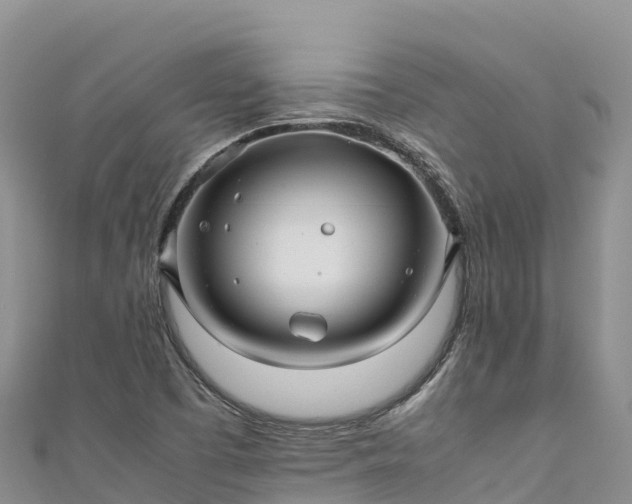 X0000111191457200907081246