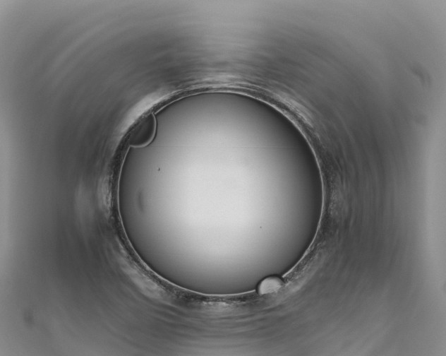 X0000111191458200907081246