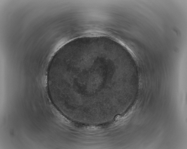 X0000111191459200907081246