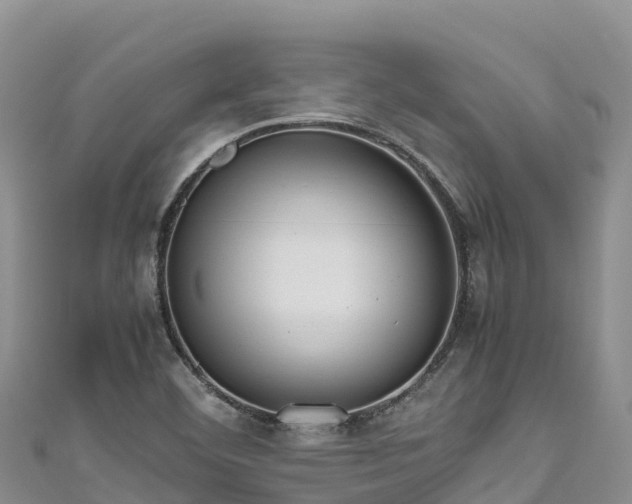 X0000111191460200907081246