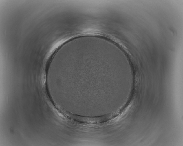 X0000111191461200907081246