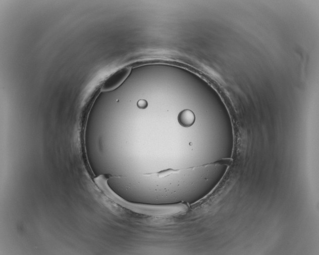 X0000111191464200907081246