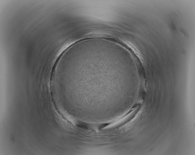 X0000111191465200907081246