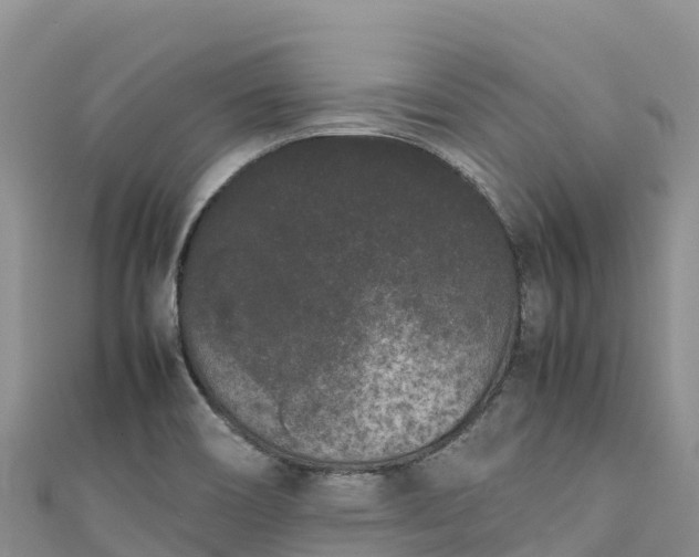 X0000111191466200907081246