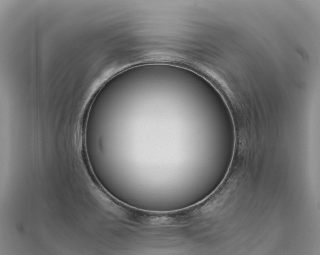 X0000111191467200907081246