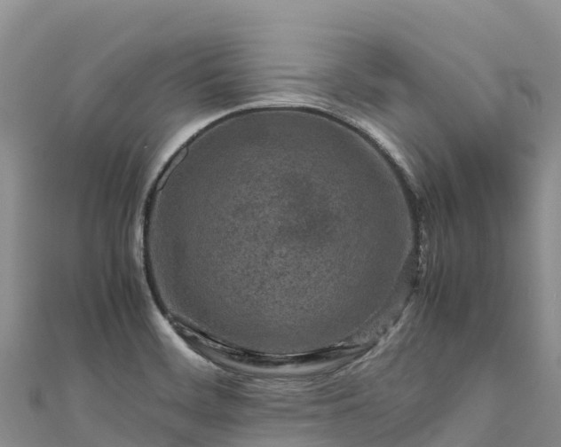 X0000111191468200907081246