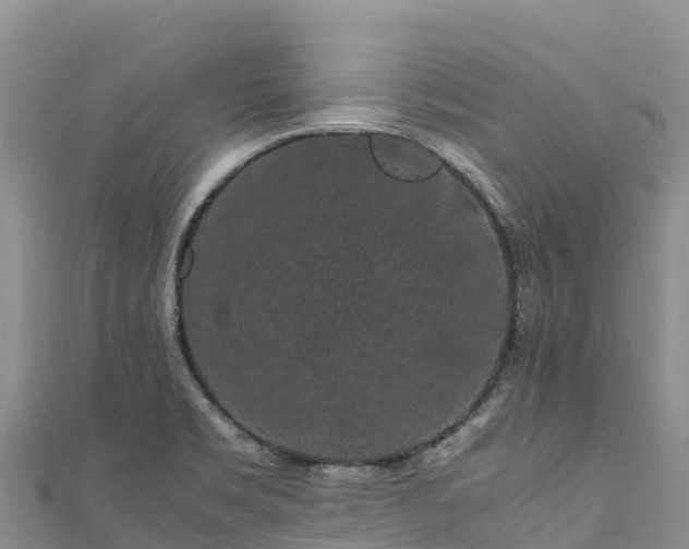 X0000111191469200907081246