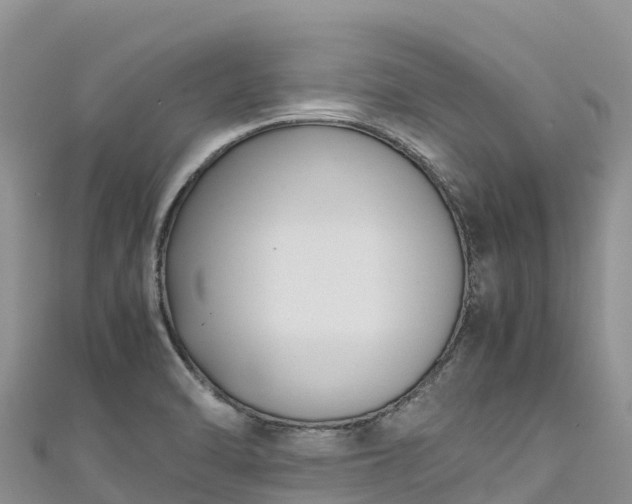 X0000111191470200907081246