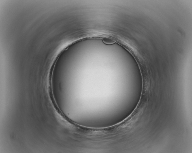 X0000111191471200907081246