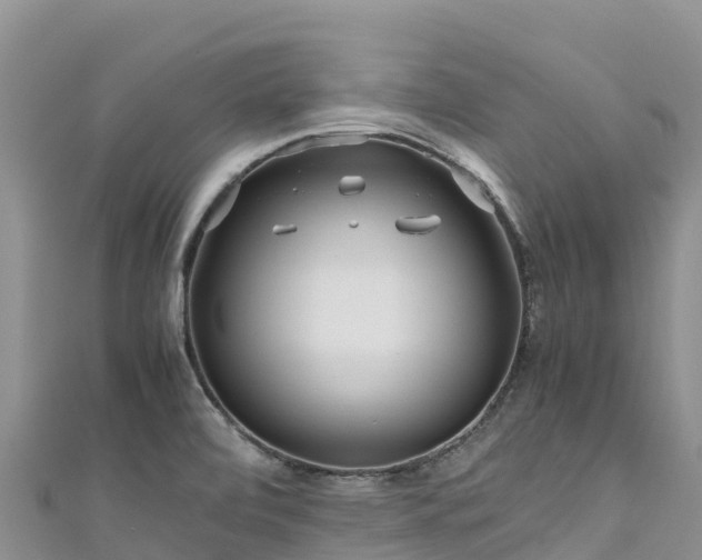 X0000111191472200907081246