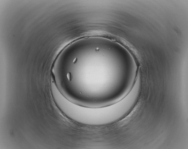 X0000111191473200907081246