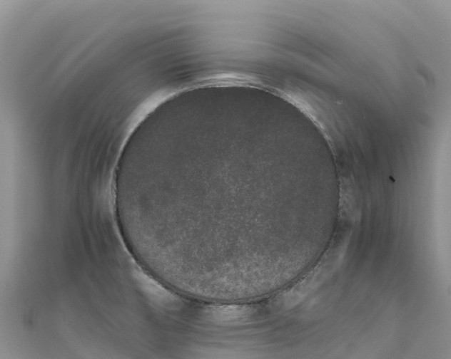 X0000111191474200907081246