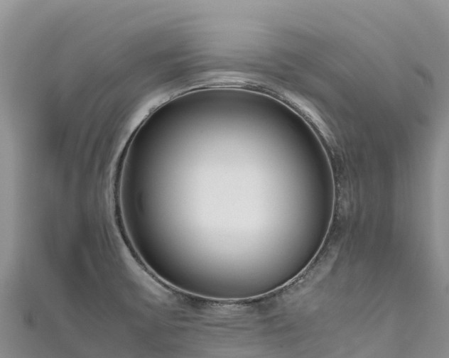 X0000111191475200907081246