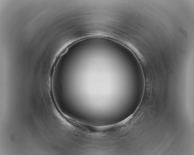 X0000111191476200907081246