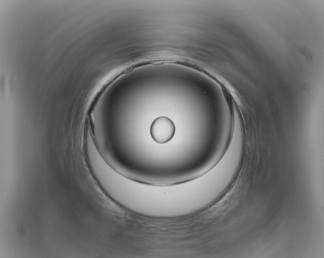 X0000111191477200907081246