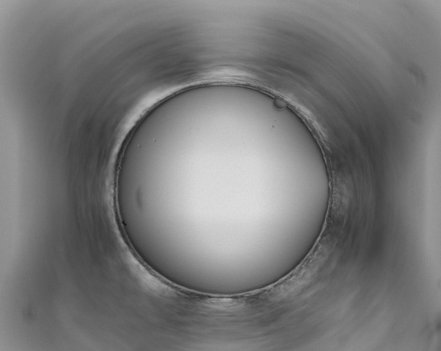 X0000111191478200907081246