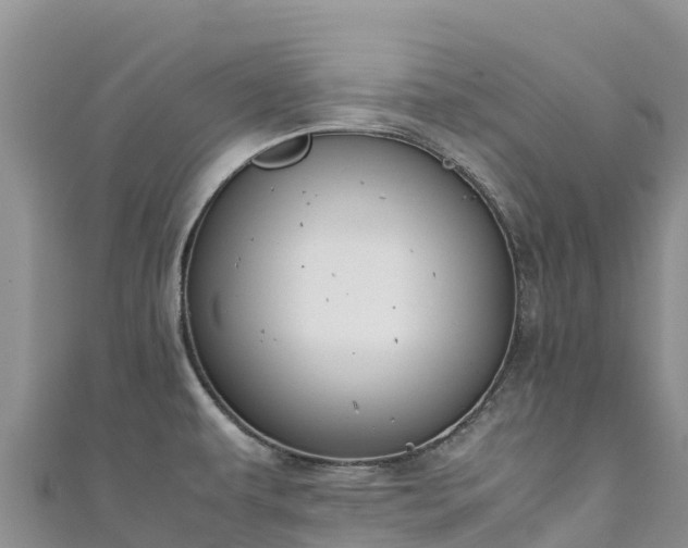 X0000111191479200907081246