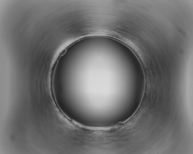 X0000111191480200907081246