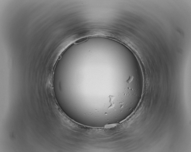 X0000111191481200907081246