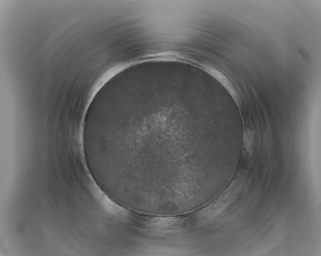 X0000111191482200907081246