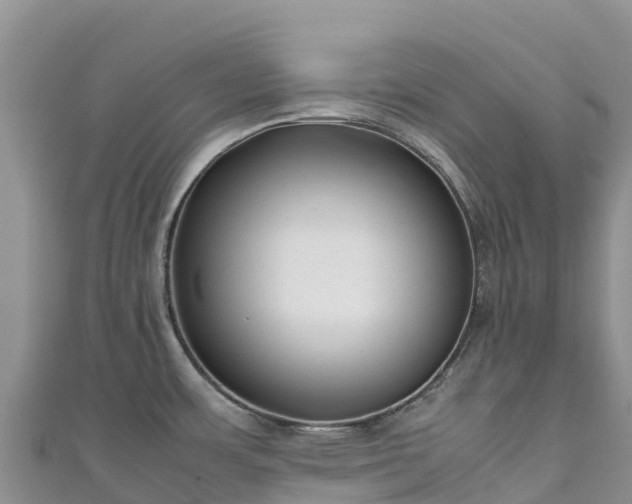 X0000111191483200907081246