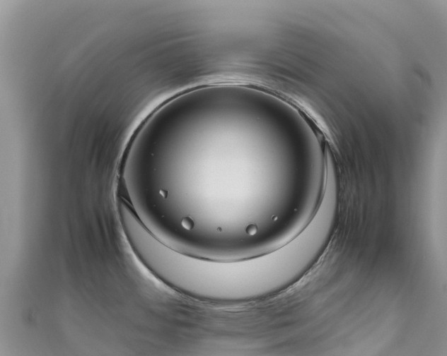 X0000111191484200907081246