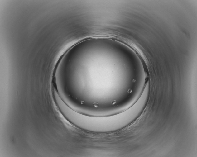 X0000111191485200907081246