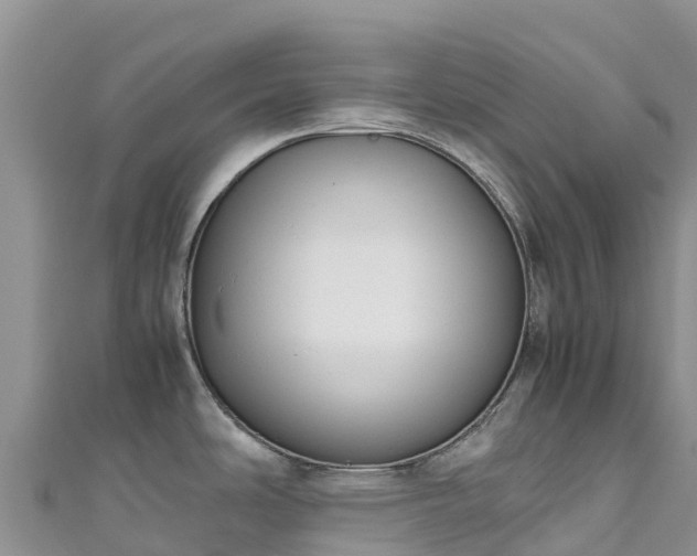 X0000111191486200907081246