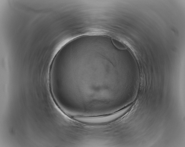 X0000111191487200907081246