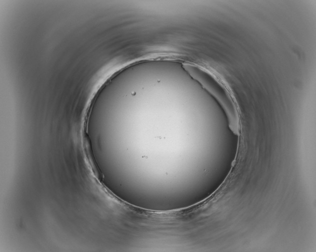 X0000111191488200907081246