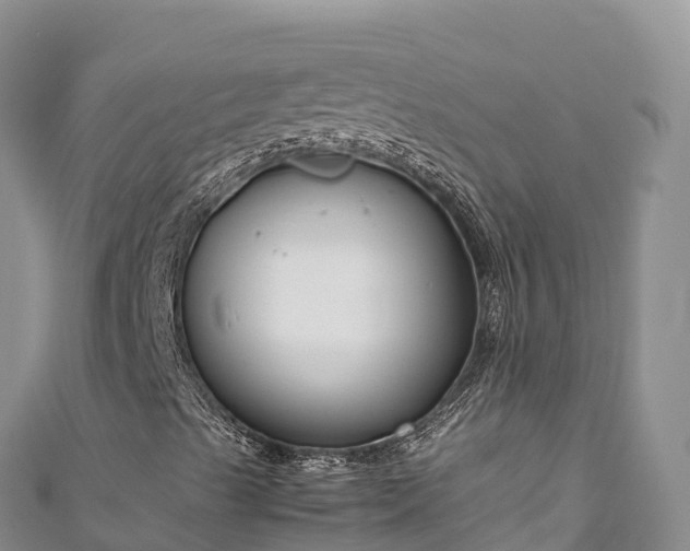 X0000111191489200907081245