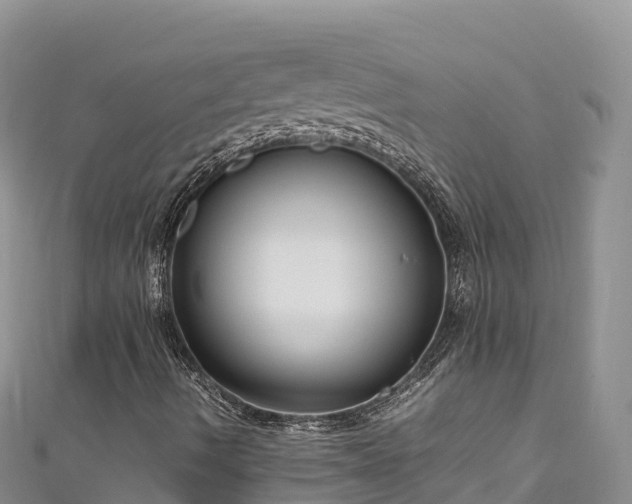 X0000111191490200907081245