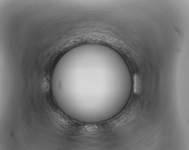 X0000111191491200907081245