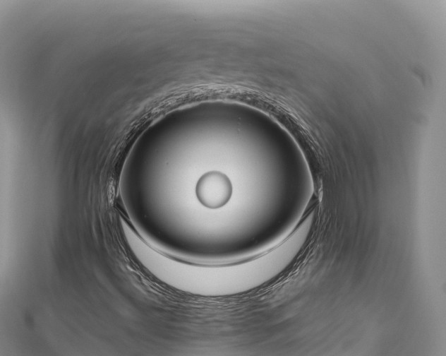 X0000111191492200907081245